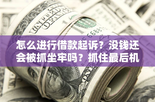济南怎么进行借款起诉？没钱还会被抓坐牢吗？抓住最后机会！