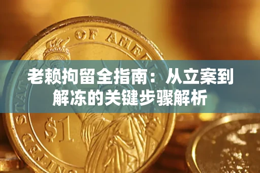 济南老赖拘留全指南：从立案到解冻的关键步骤解析
