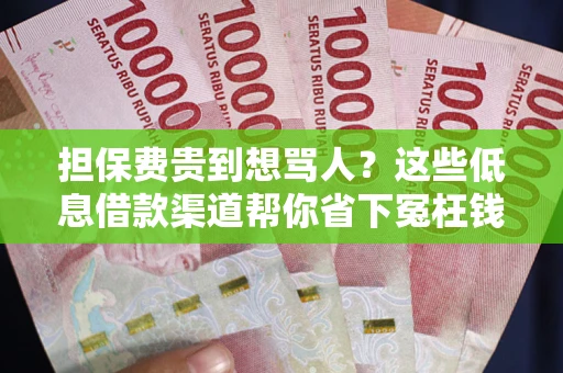济南担保费贵到想骂人？这些低息借款渠道帮你省下冤枉钱