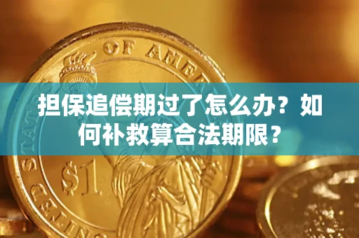 济南担保追偿期过了怎么办？如何补救算合法期限？