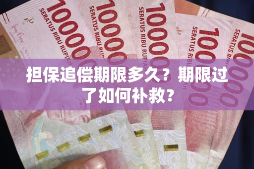 济南担保追偿期限多久？期限过了如何补救？
