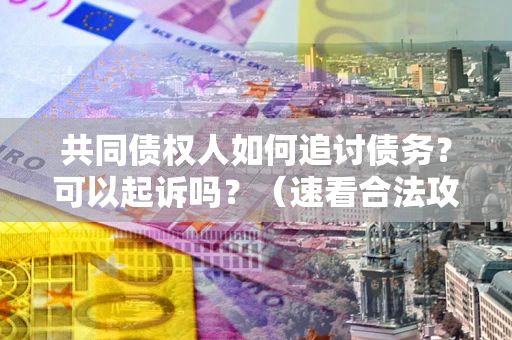 济南共同债权人如何追讨债务？可以起诉吗？（速看合法攻略）