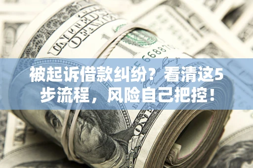 济南被起诉借款纠纷？看清这5步流程，风险自己把控！