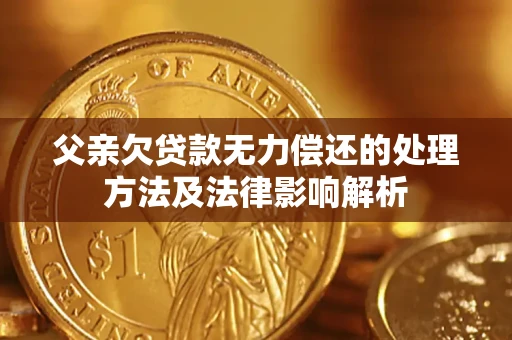 济南父亲欠贷款无力偿还的处理方法及法律影响解析